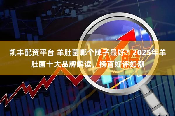 凯丰配资平台 羊肚菌哪个牌子最好？2025年羊肚菌十大品牌解读，榜首好评如潮