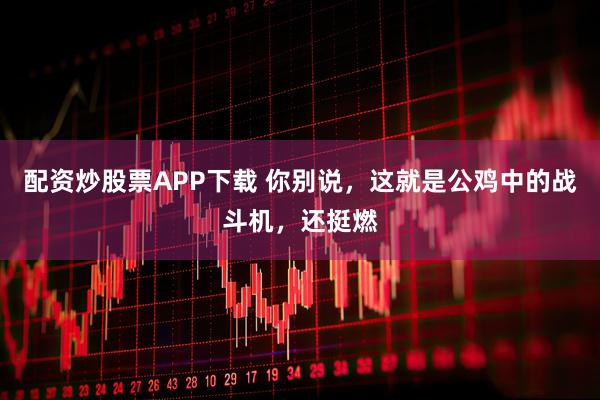 配资炒股票APP下载 你别说，这就是公鸡中的战斗机，还挺燃